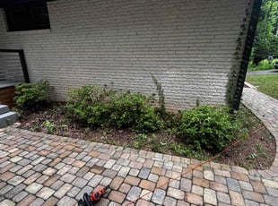 Bush Trimming by Bryce Brown for Murphy D. in Smyrna, GA