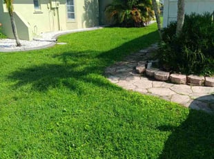 Tina C.'s Yard Cutting service result