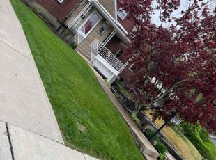 Amy M.'s Lawn Care service result