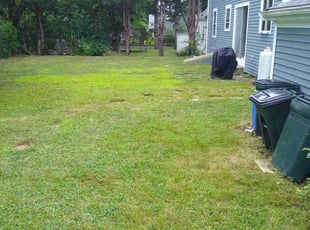Linda M.'s Lawn Care service result