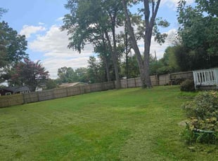 Kathryn B.'s Lawn Maintenance service result