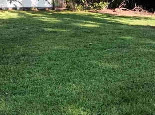 Amy R.'s Lawn Care service result
