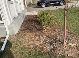 Cleanups by Jorge Yanez for Ahmed A. in Sugar Grove, IL