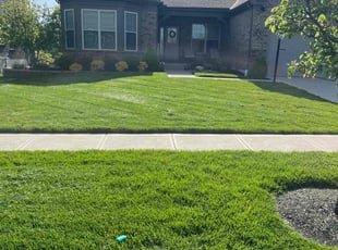 Amy L.'s Grass Cutting service result