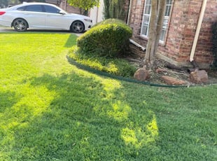 Bush Trimming by Gabriel Piedra for Rick B. in Flower Mound, TX