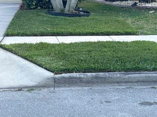"Rita F.'s Lawn Mowing service result