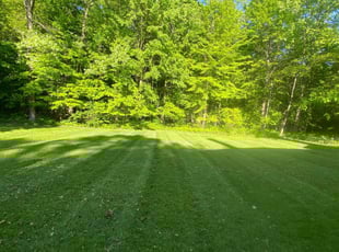 Cathy H.'s Lawn Service service result