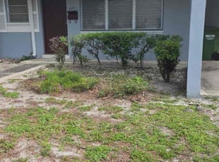 Bush Trimming by Breylin Rapalo for Karen . in Pembroke Pines, FL