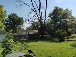 Shequila S.'s Lawn Mowing Service service result
