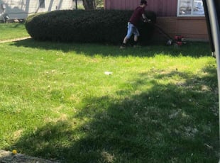 Bush Trimming by Thomas Reid for Mensah P. in Dayton, OH