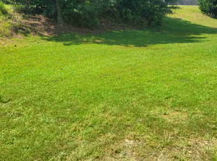 Thomas A.'s Lawn Service service result