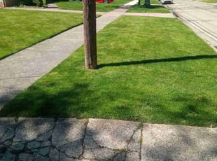 Maurine W.'s Lawn Service service result