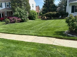 James J.'s Grass Cutting service result