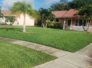 Lindsay P.'s Grass Cutting service result