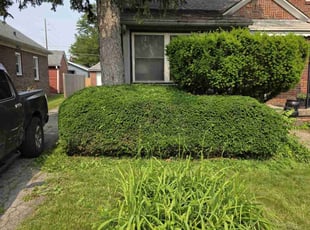 Bush Trimming by Erik Bullens for Georgia D. in Indianapolis, IN