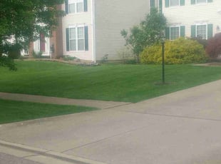 Terry K.'s Grass Cutting service result