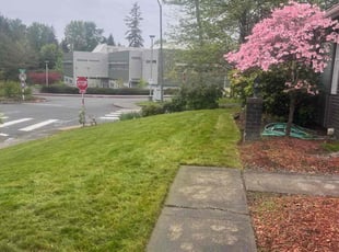 Heath H.'s Grass Cutting service result