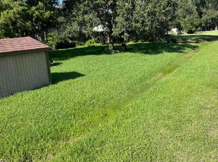 Kelly S.'s Lawn Care service result