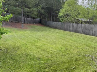 Carmen H.'s Lawn Maintenance service result