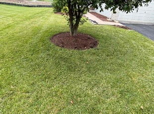 Hunter W.'s Yard Cutting service result