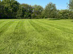 lan S.'s Lawn Service service result