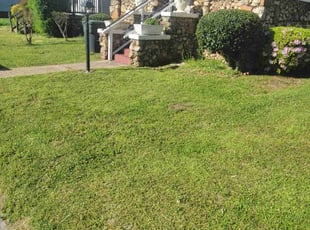Mike H.'s Lawn Service service result