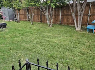 Jeffrey G.'s Lawn Care service result