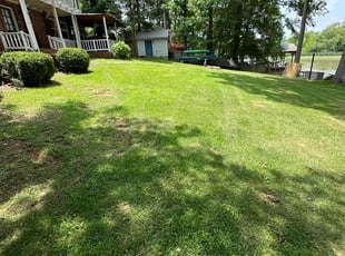 Denise C.'s Lawn Mowing service result