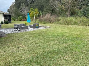 Aleysha M.'s Lawn Maintenance service result