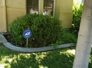 Bush Trimming by Joshua Muehe for Mamatha P. in Elk Grove, CA