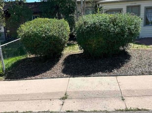 Bush Trimming by Devin Brown for Steven R. in Englewood, CO