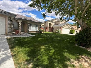 Merlene Y.'s Yard Cutting service result