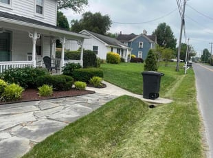 Sarah P.'s Grass Cutting service result