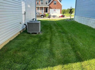 Linda P.'s Grass Cutting service result