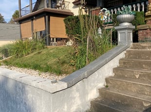 Bush Trimming by Ed Michinski for Thomas W. in Pittston, PA