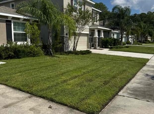 Triston B.'s Lawn Service service result