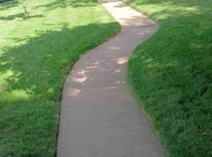 Brenda S.'s Lawn Service service result