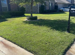 Roxanne S.'s Lawn Mowing service result