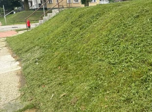 Scott M.'s Lawn Care service result