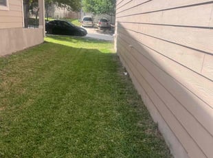 Siyab V.'s Yard Cutting service result