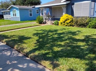 Nilza L.'s Lawn Service service result