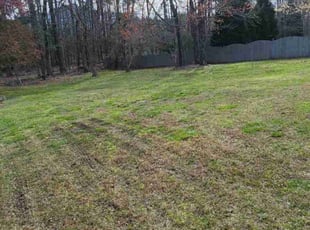 Leaf Removal by Royal Scenery LLC for Amy M. in Cary, NC