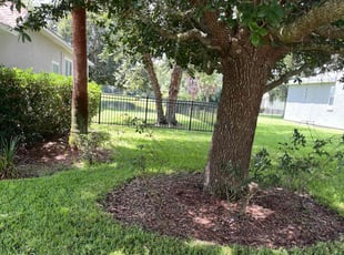 angelia, r.'s Lawn Mowing Service service result