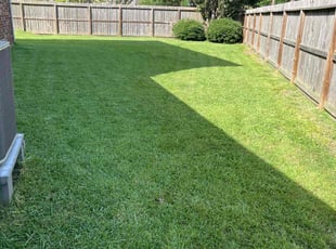 Paula C.'s Lawn Mowing service result
