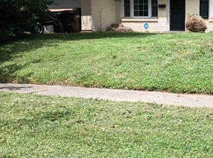 Cleanups by Chris Slone for Samantha S. in Louisville, KY