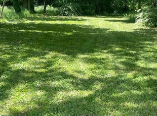 Katherine F.'s Lawn Maintenance service result