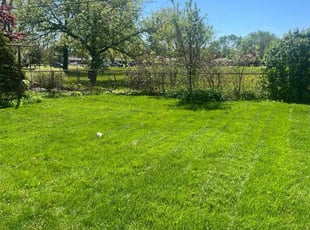 Sheri F.'s Grass Cutting service result