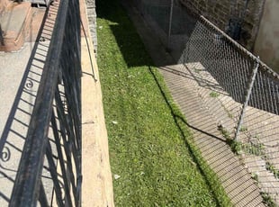 Anu C.'s Lawn Mowing Service service result