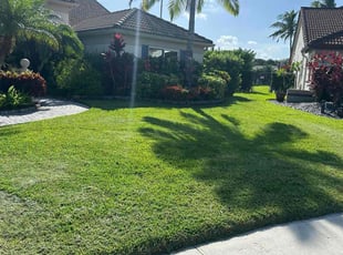 Anna C.'s Lawn Mowing service result