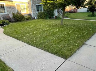 Robert Z.'s Yard Cutting service result